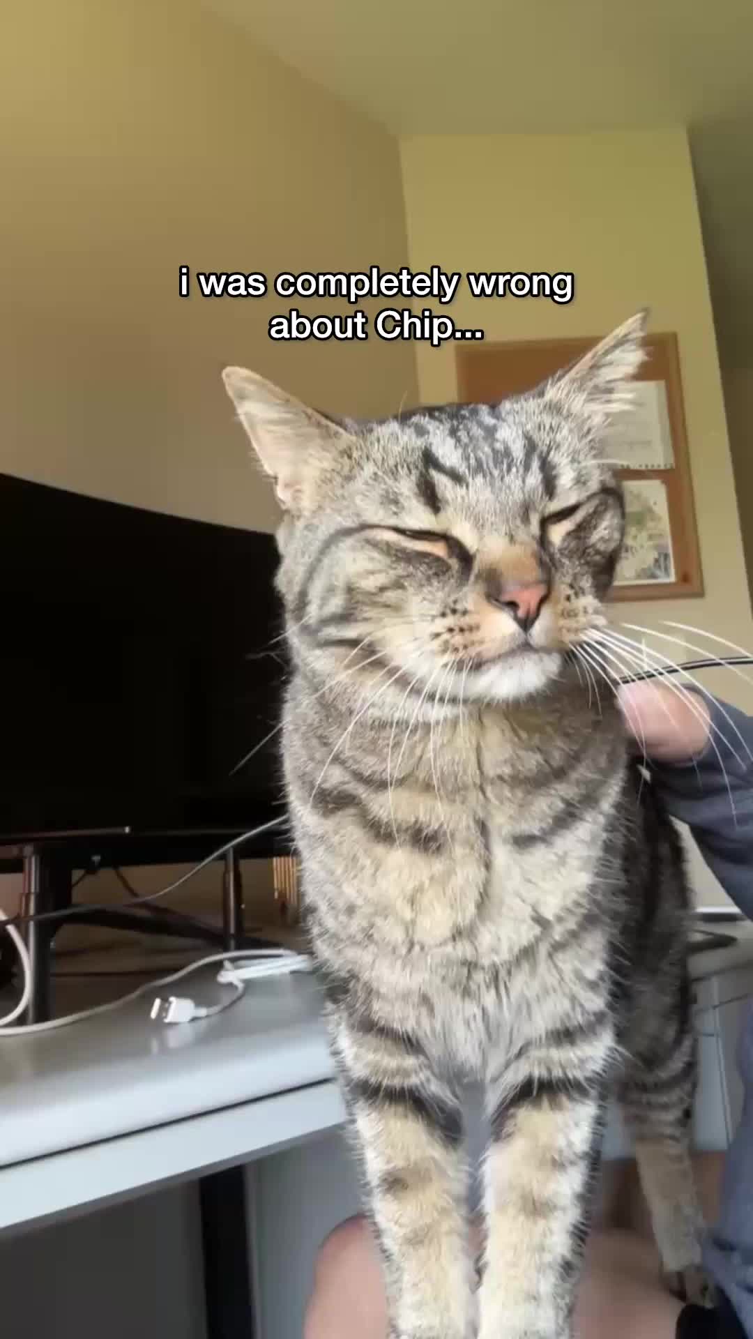 @Chip The Manx
