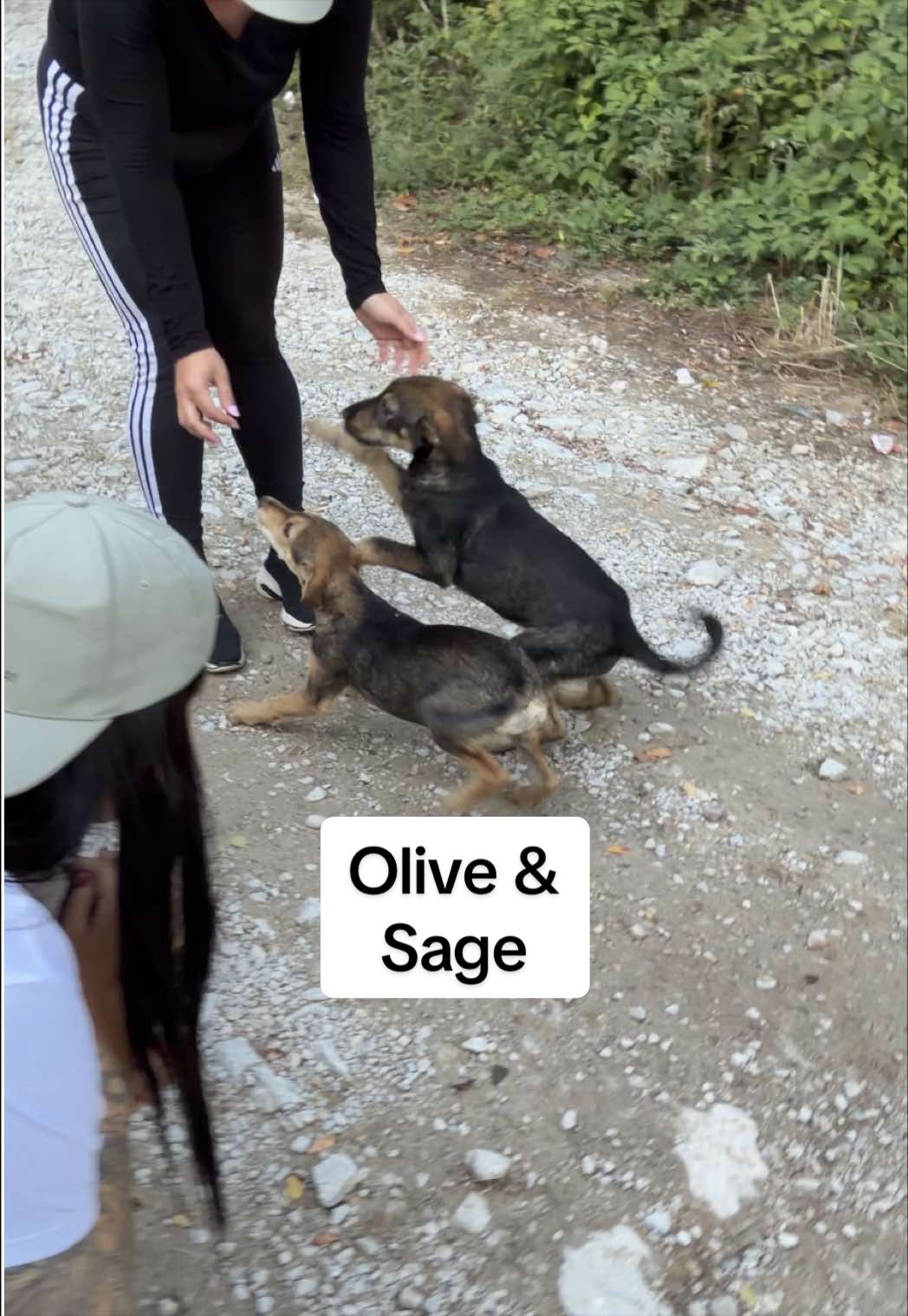 @Tia&rsquo;s Tail Tales