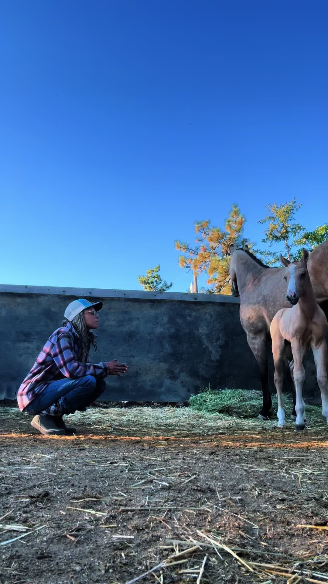 @Cowgirl Tuff Colt Training ❤️