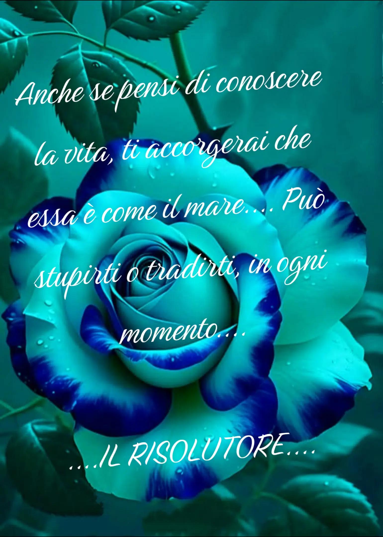 @IL RISOLUTORE...