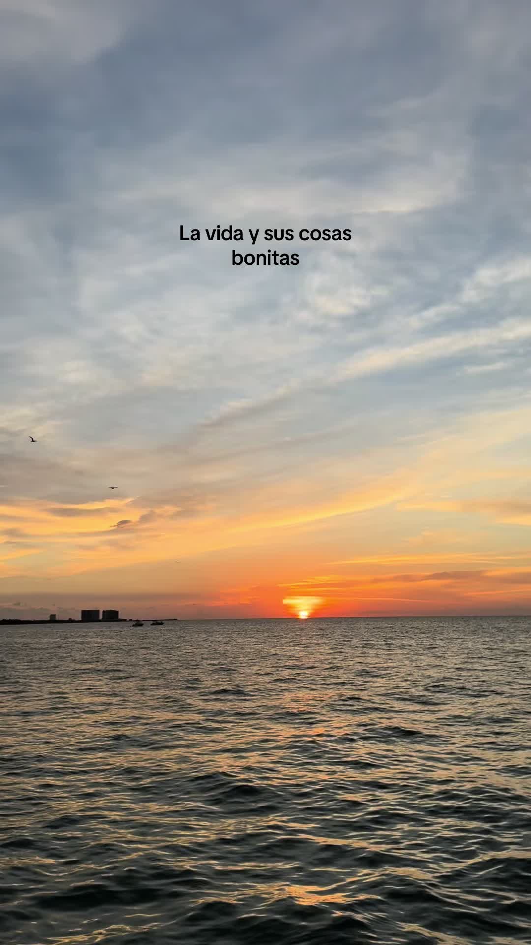 @dianatejedab