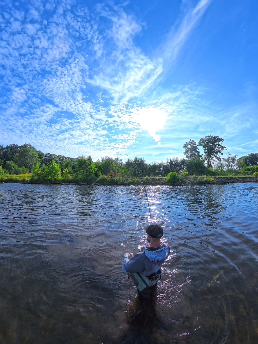 @the360angler