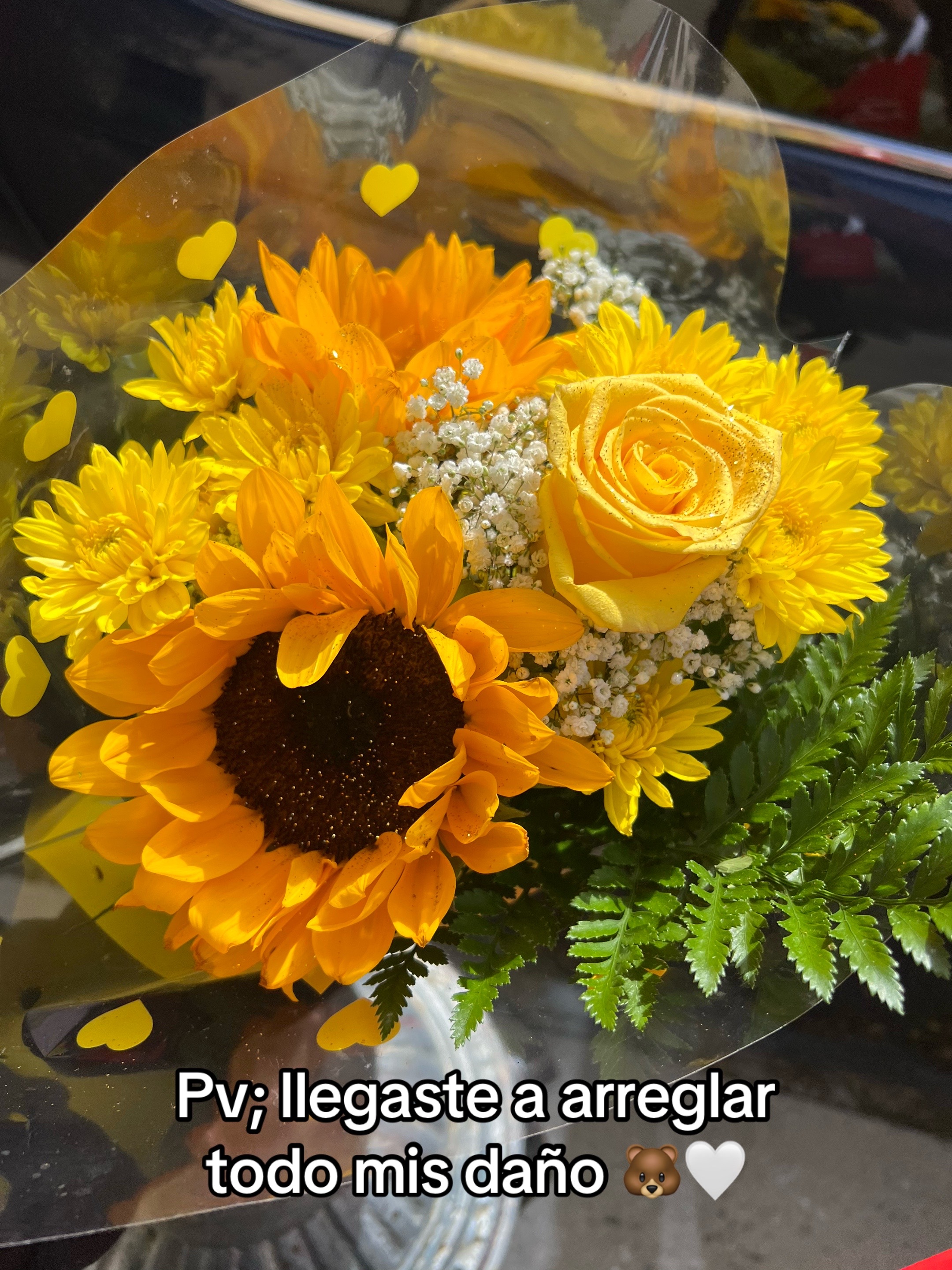 @Daraly Ramirez