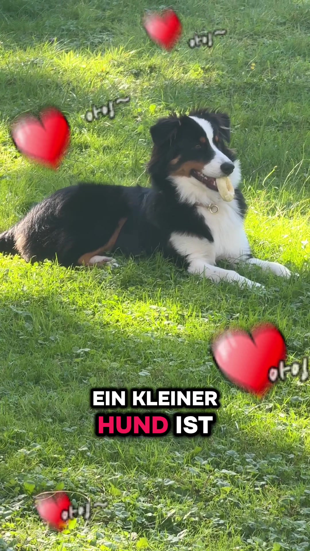 @🐕Di Ana🐕