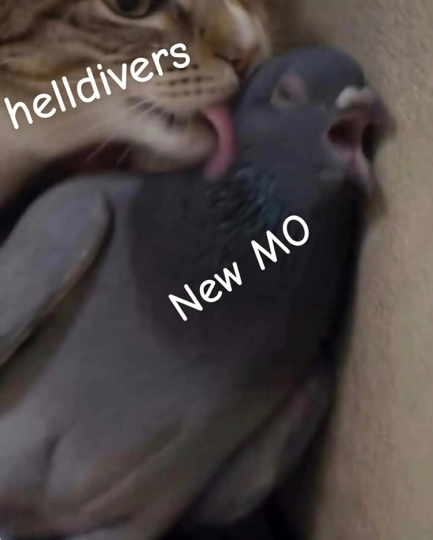 @TheNickestNick