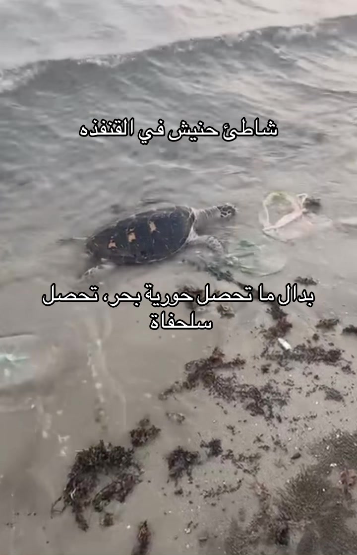 @عمر