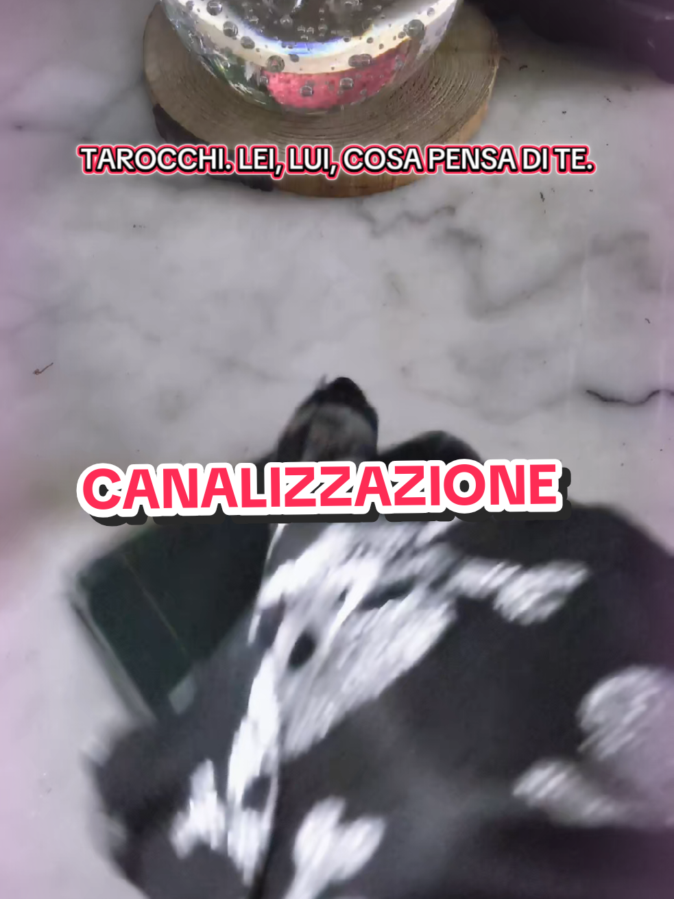 @EnergiaTarot🔮CartomanziaTarot