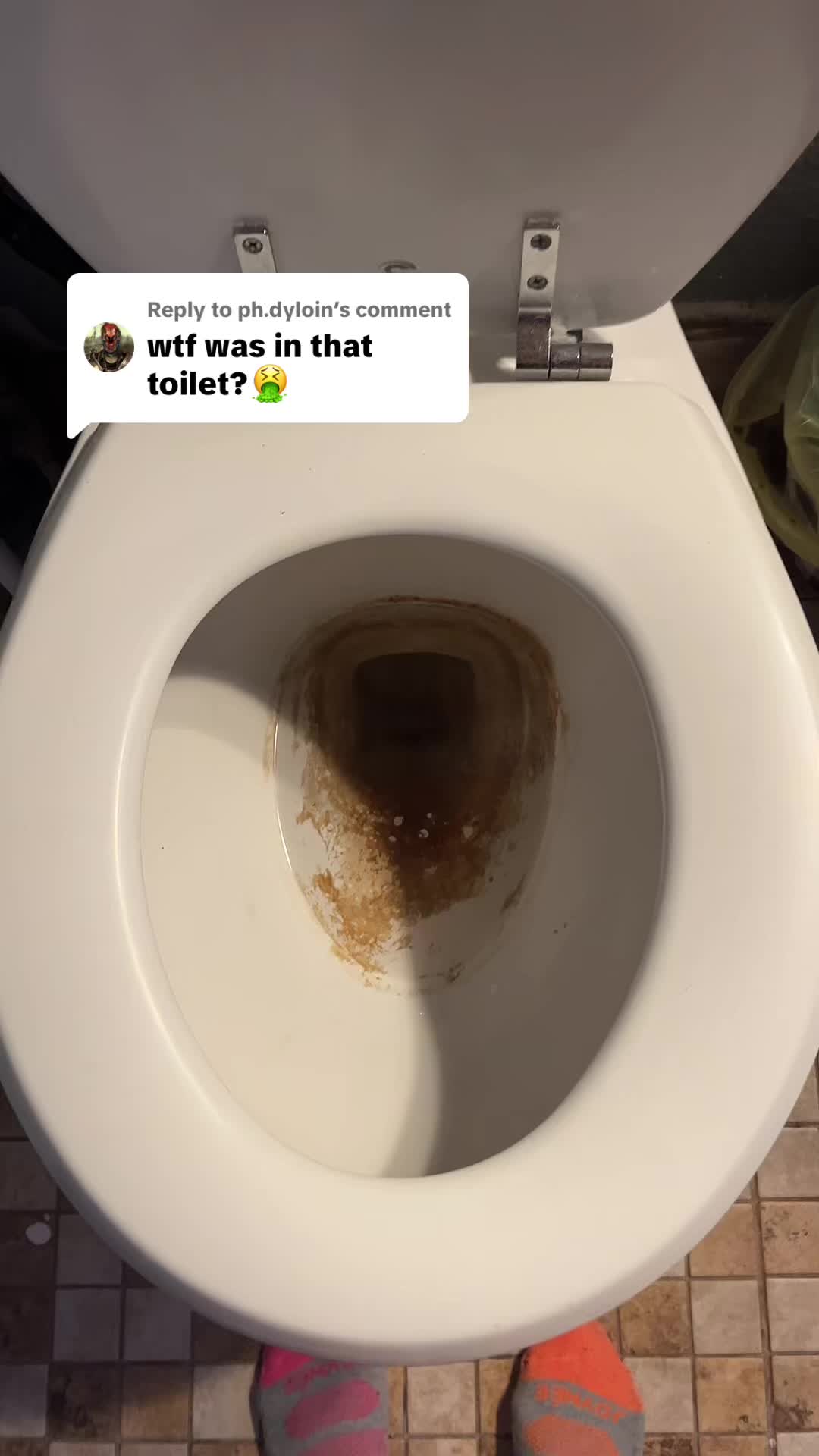 @Rachel Lynn