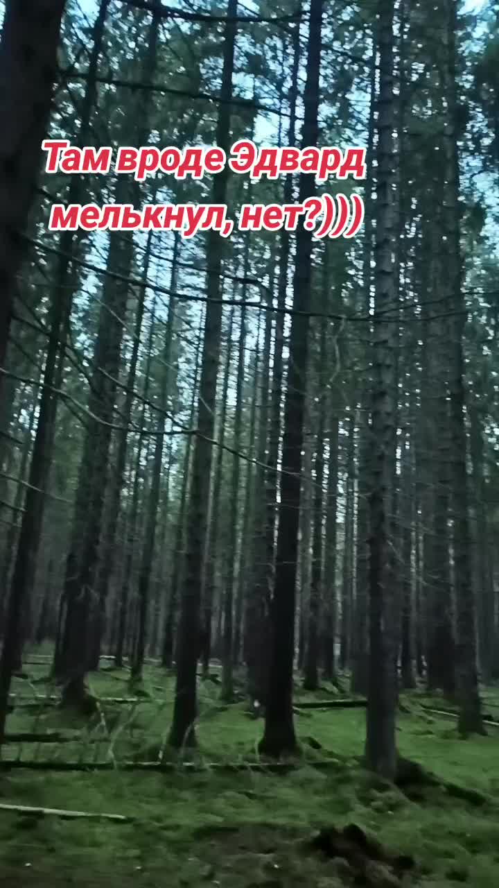 @user2278096979685