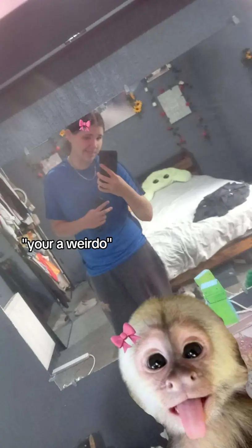 @💤