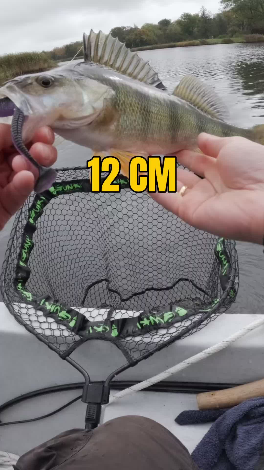 @Fischbulette