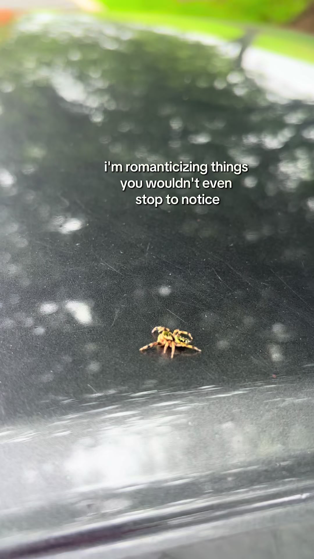 @How to get Ticks