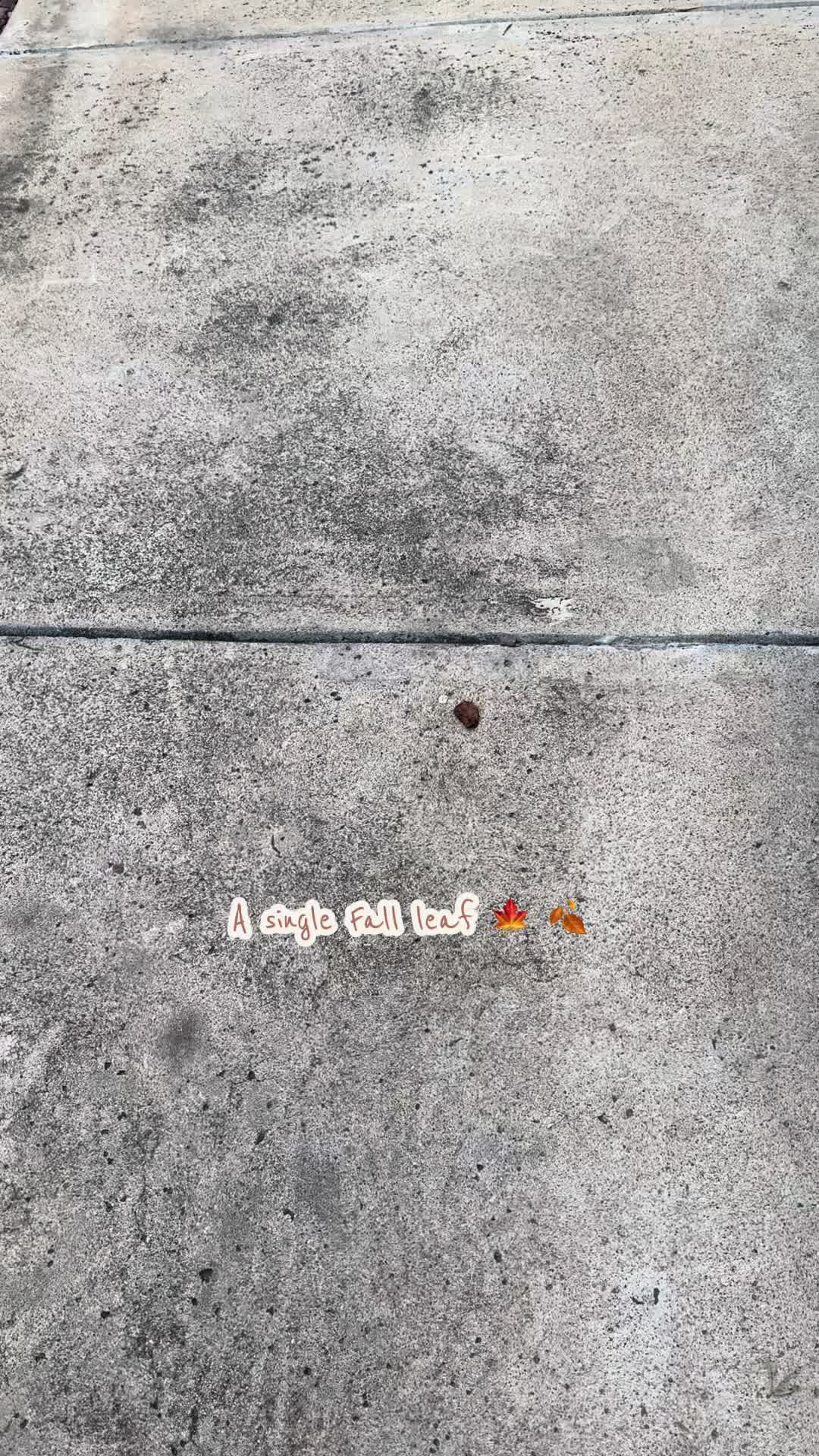 @Priscilla Morales