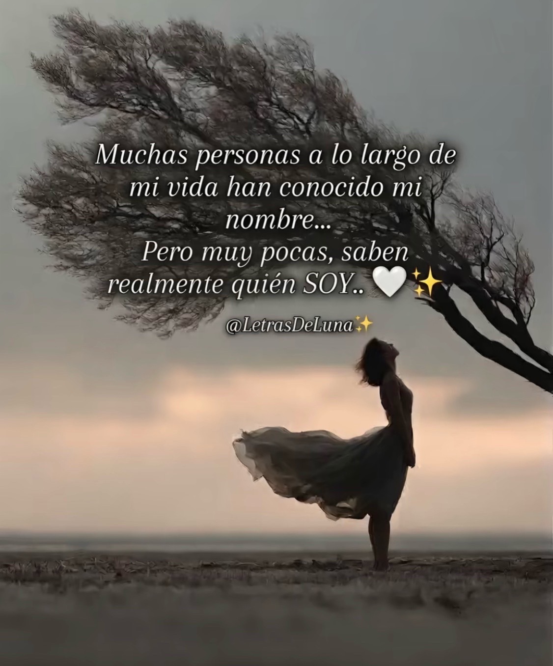 @Estela chicas