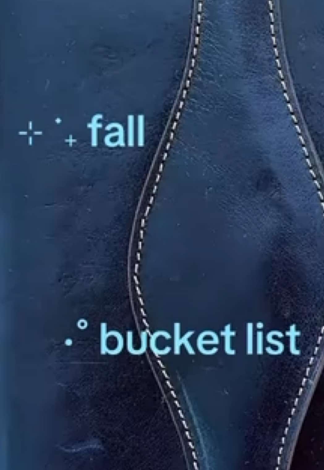 @Elyza