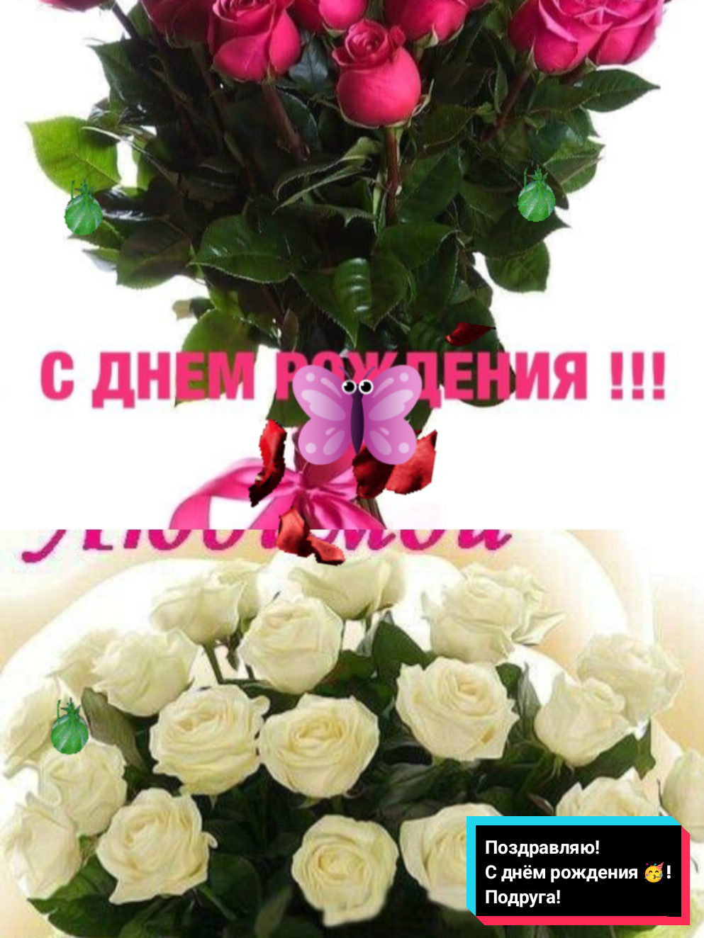 @Z.Svirgunova