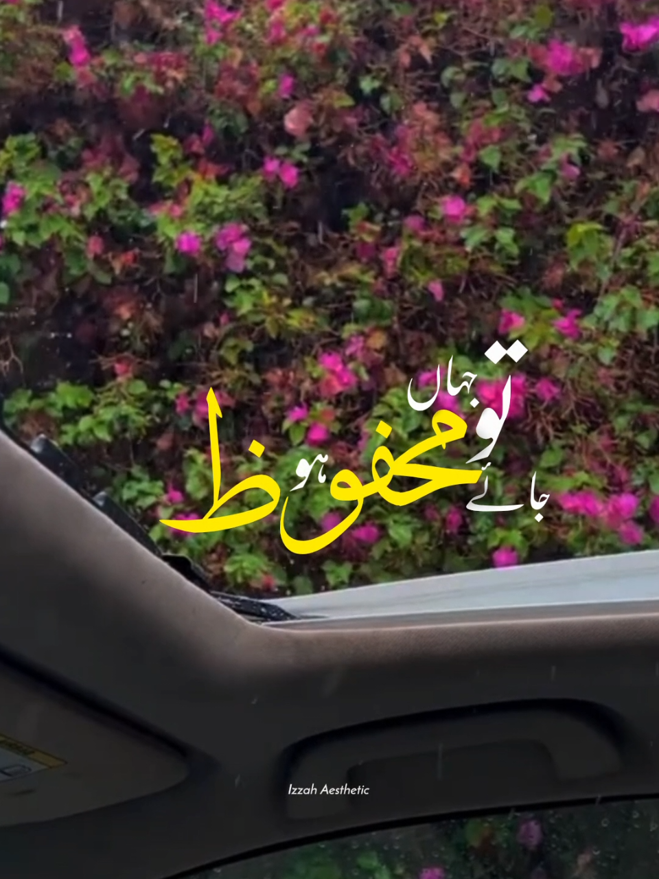 @𝙄 𝙕 𝙕 𝘼 𝙃 🕊️&bull;
