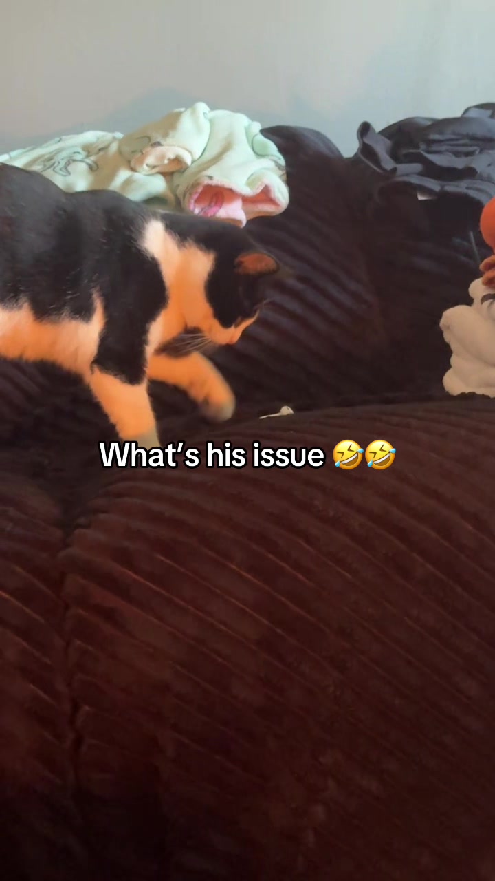 @Paigeyy
