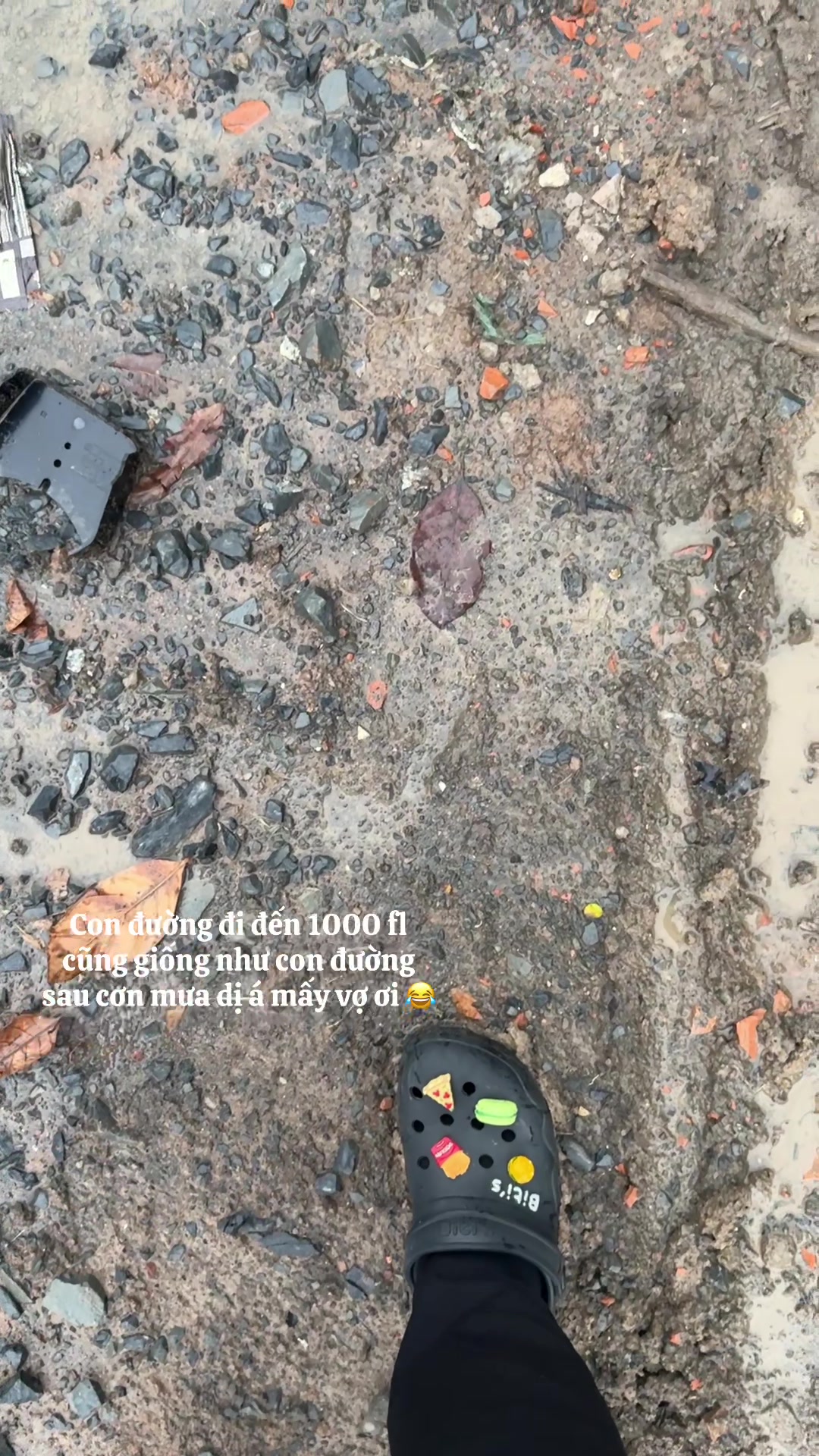 @Diên Diên