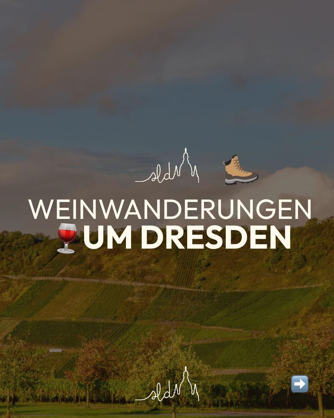 @solebtdresden