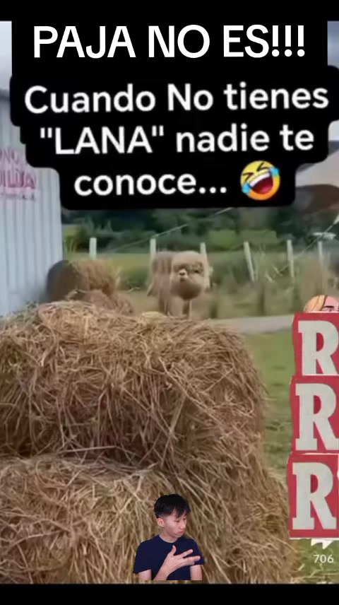 @Luis Trejo Piscui