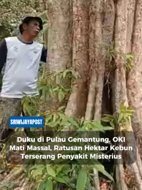 @Sriwijaya Post
