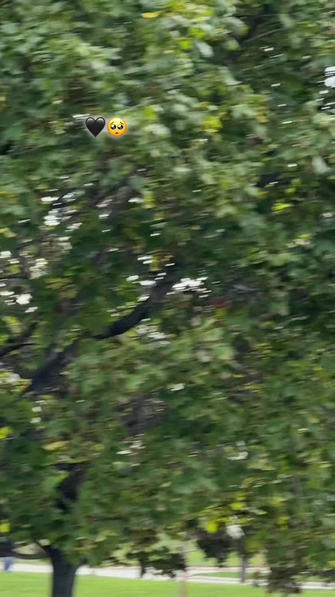 @𝐃𝐀𝐑𝐌𝐀𝐍🦋