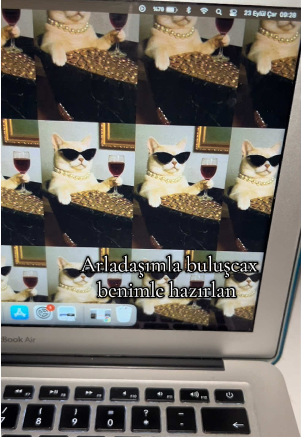 @asmreldaa