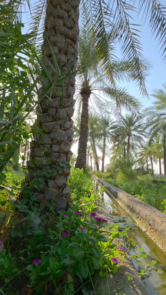 @واثقه بالله