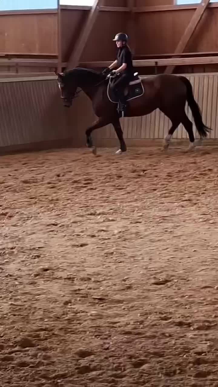 @𝒮𝒸𝒶𝓇𝓁ℯ𝓉𝓉＆𝒜𝓈𝓉𝒶𝓇𝒶