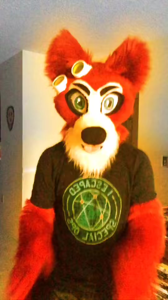@🦊 Pete The Fox 🦊
