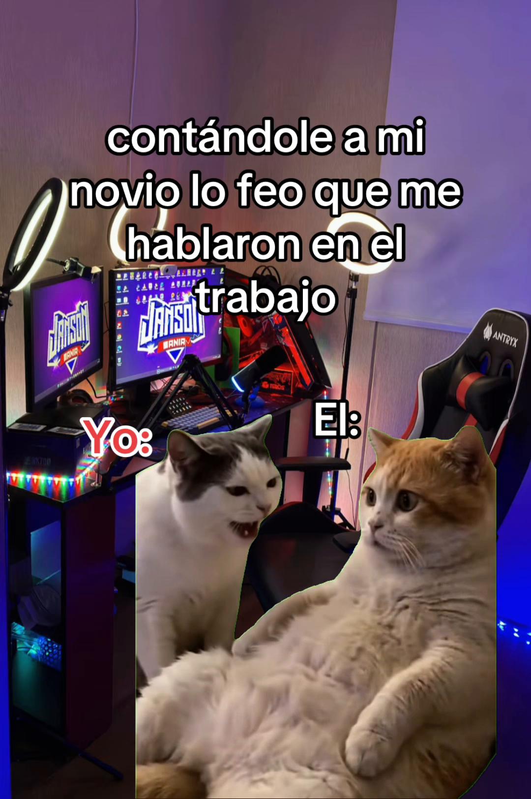 @jansonmania