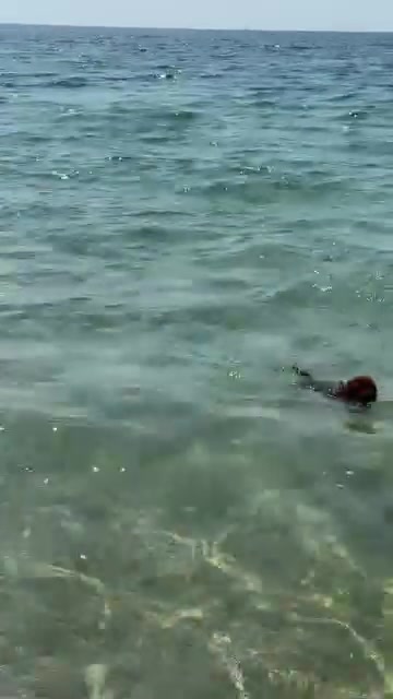 @Tiziana Detommaso