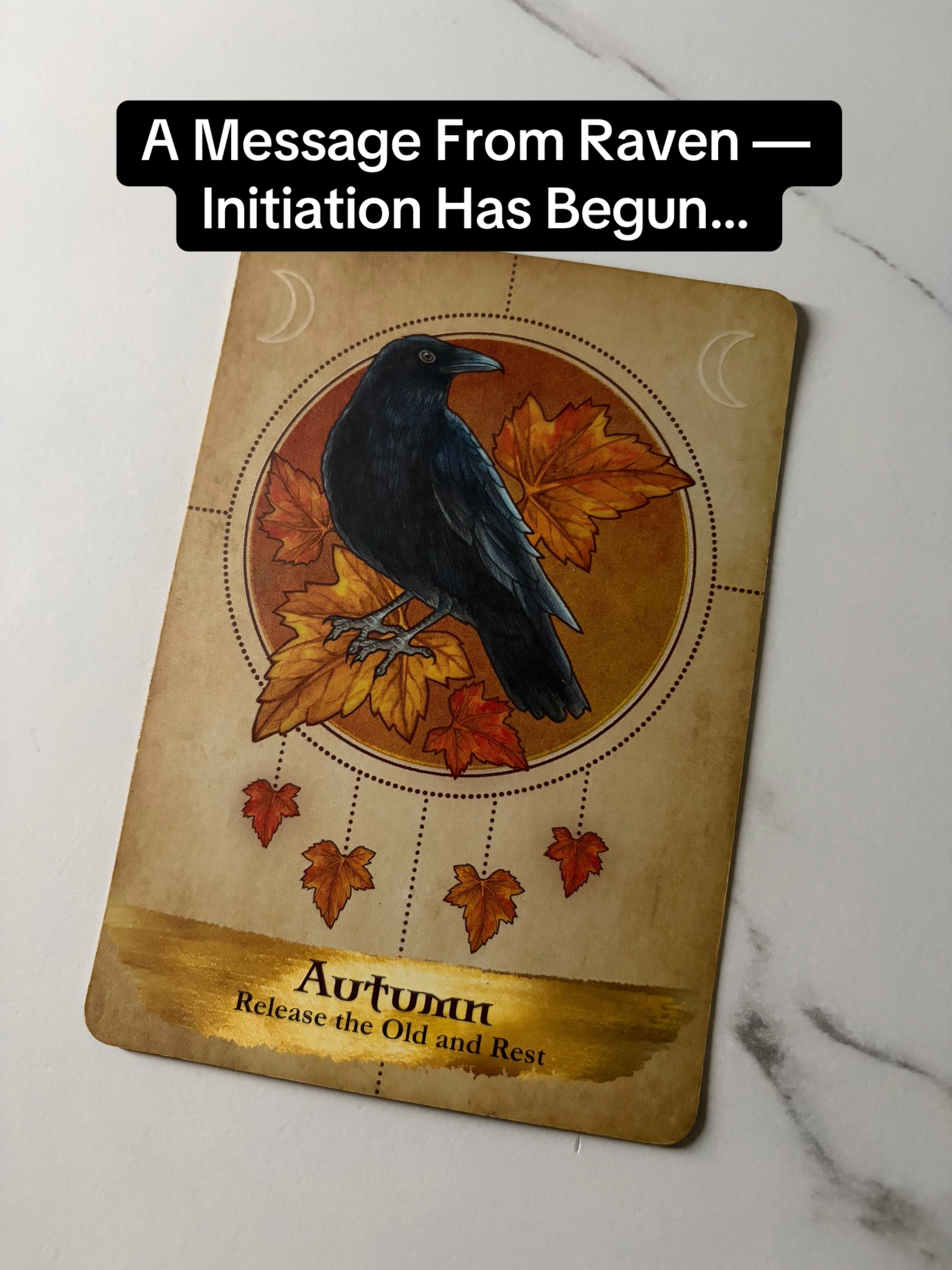 @Angelica Tarot