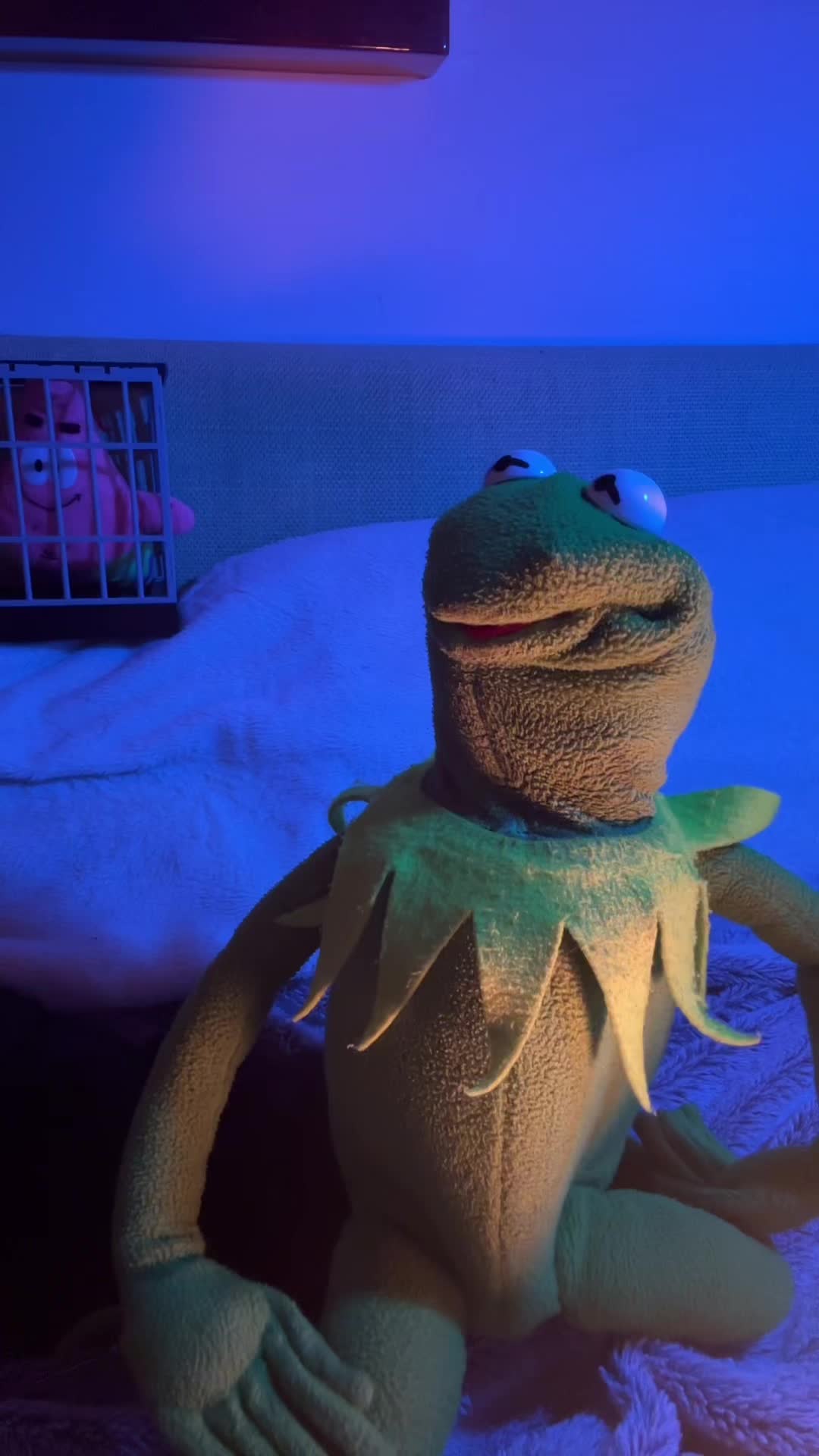 @🐸 Crashout Kermy 🐸