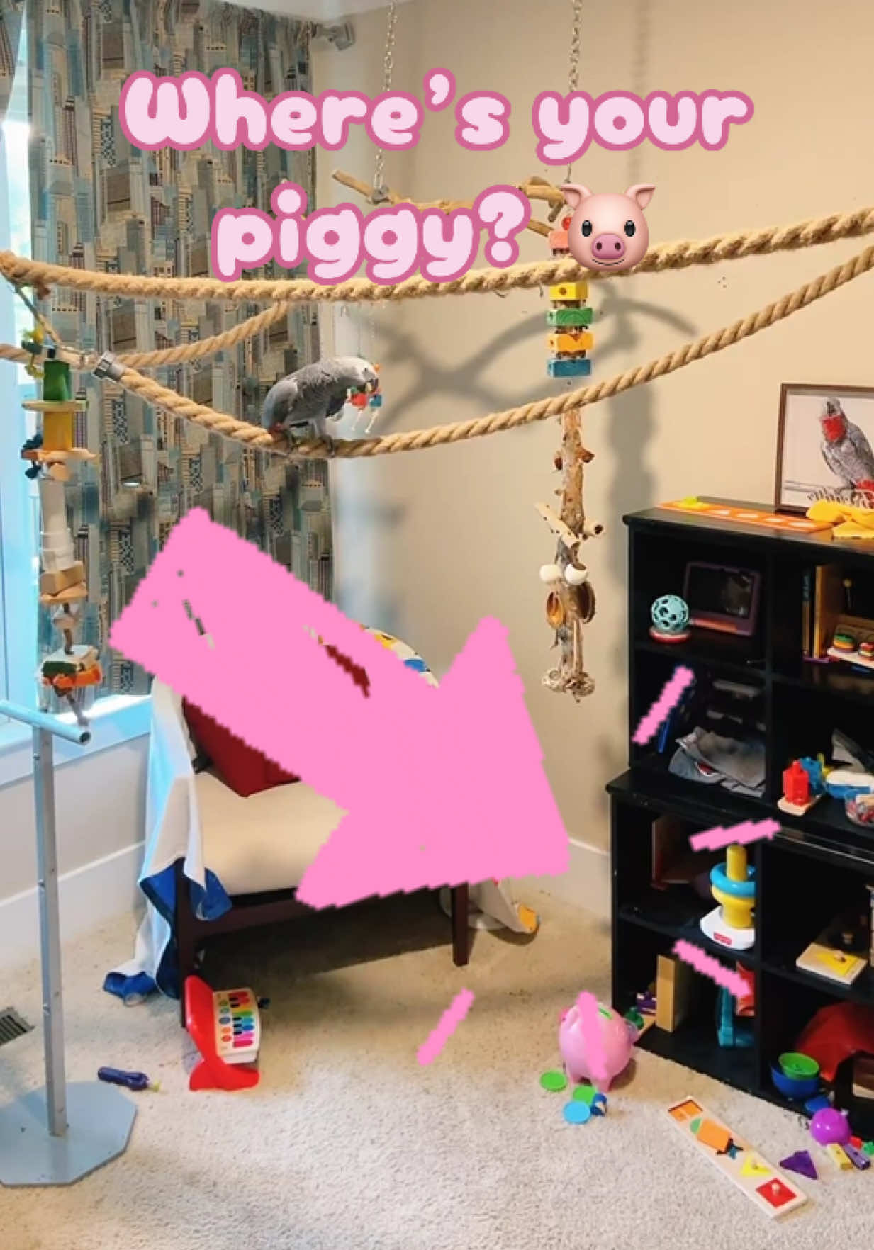 @thehinzoo