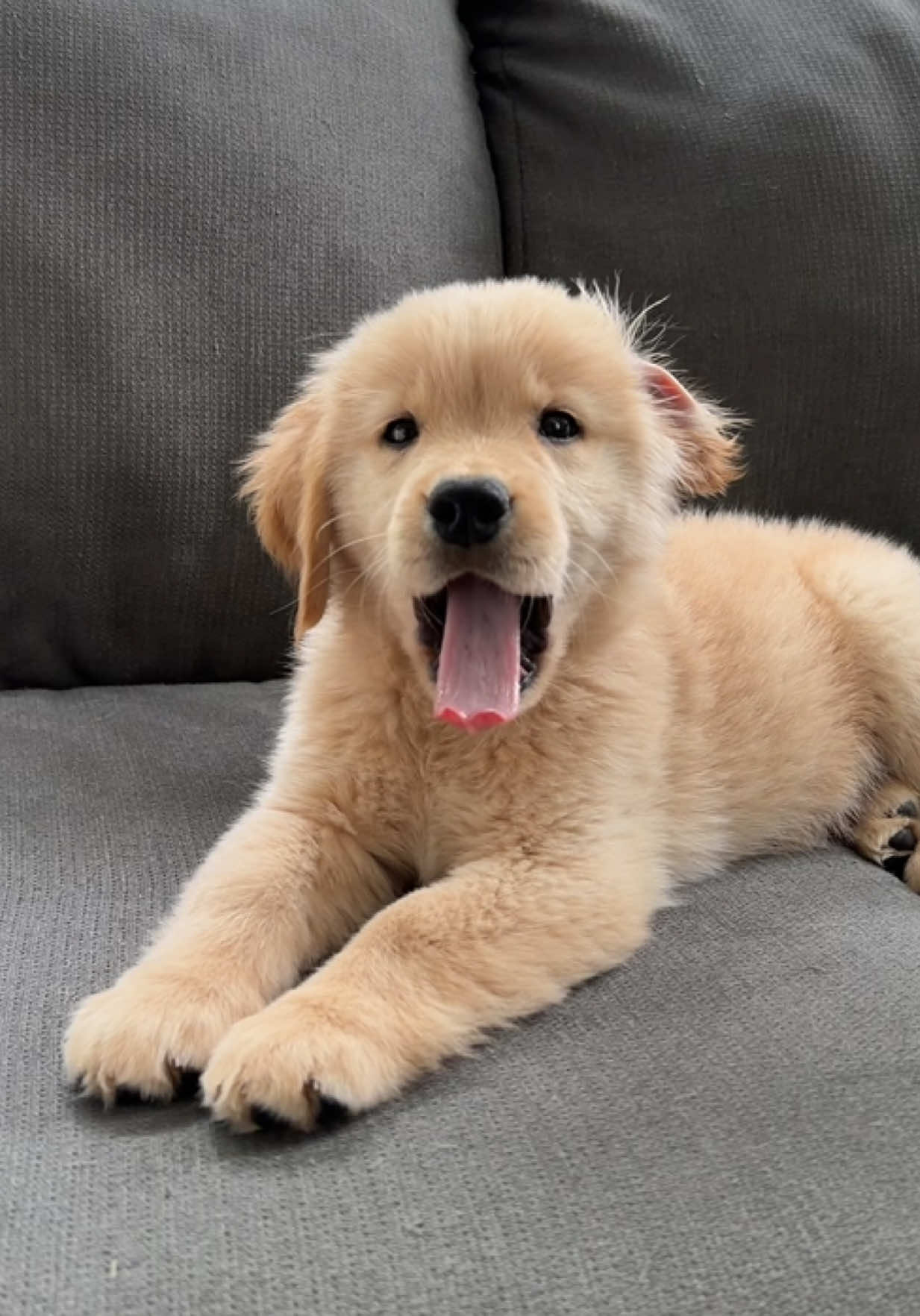 @Teddy🧸
