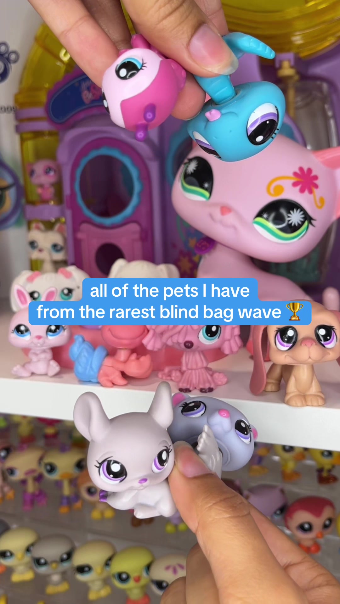 @Alyssa 🧸
