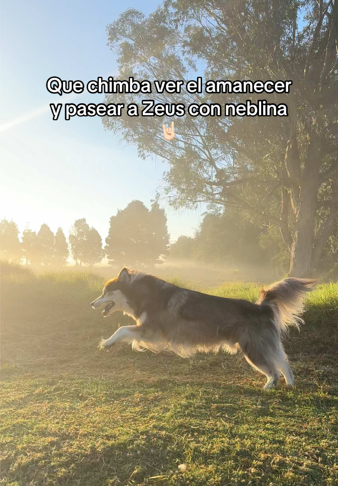 @soyzatt