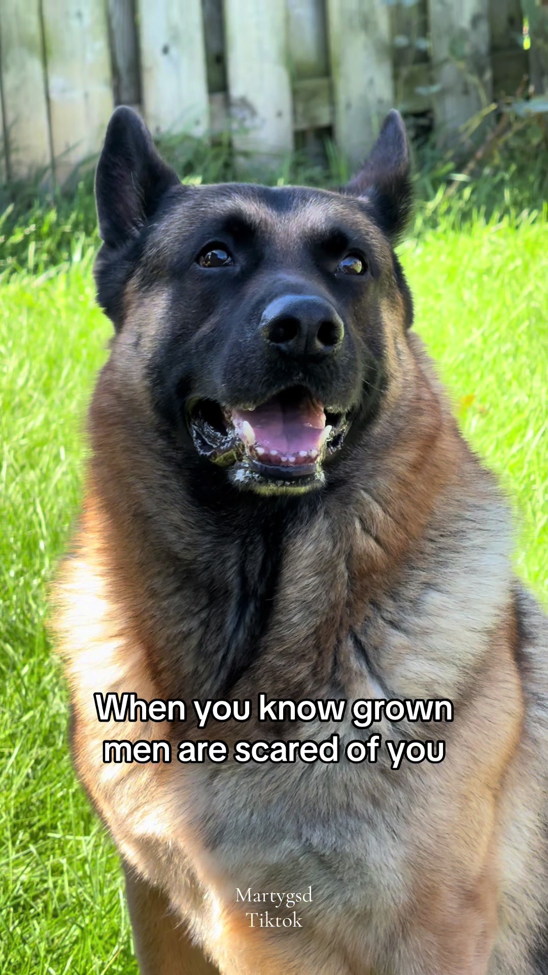 @Martygsd