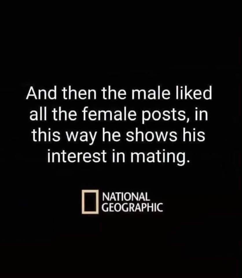 @Confessions of a Lunatic