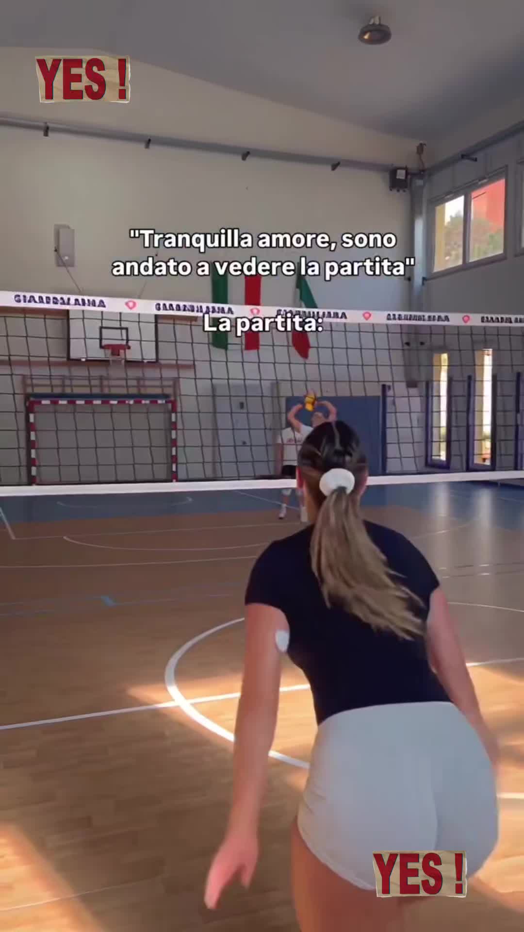 @gymfit