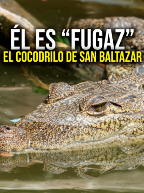 @El Sol de Puebla