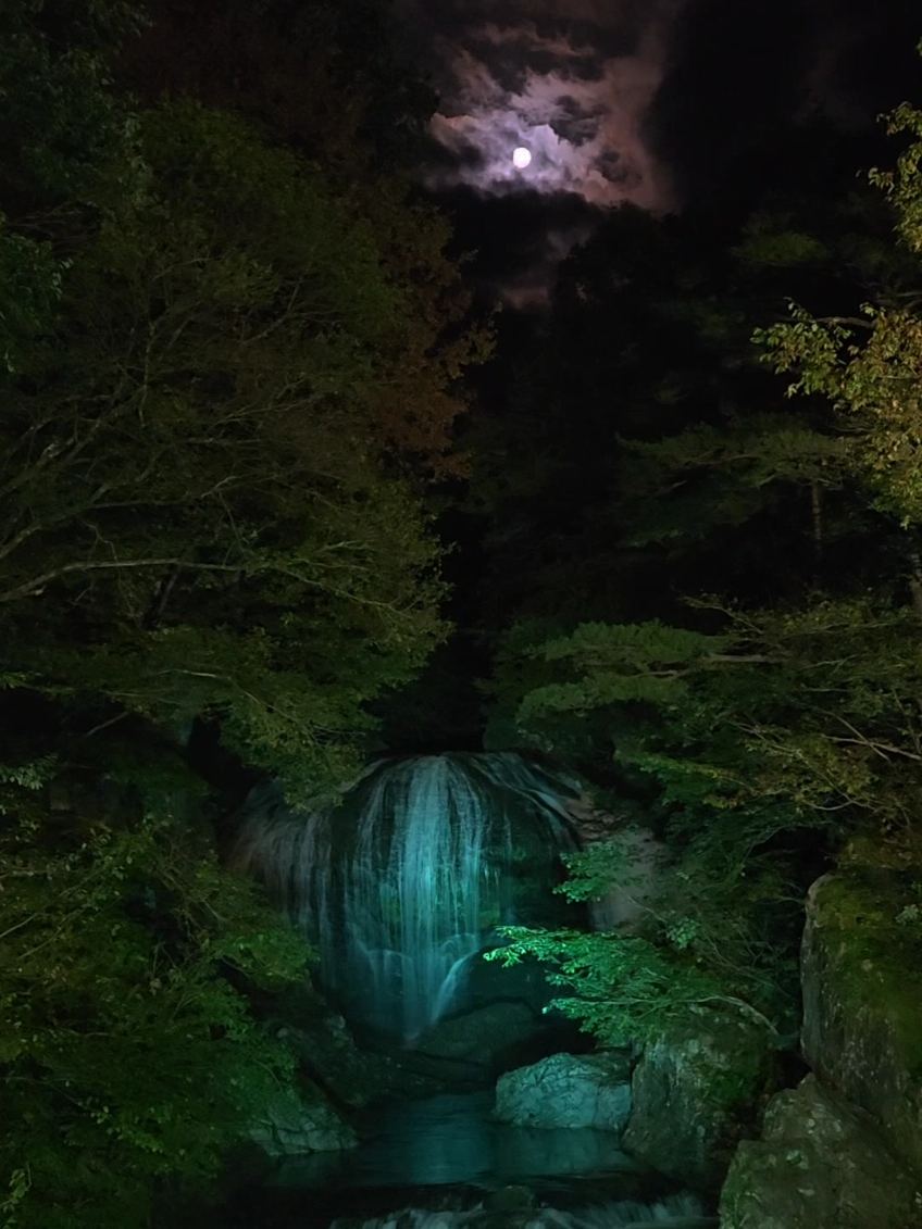 @ばっしー　東北を旅する人