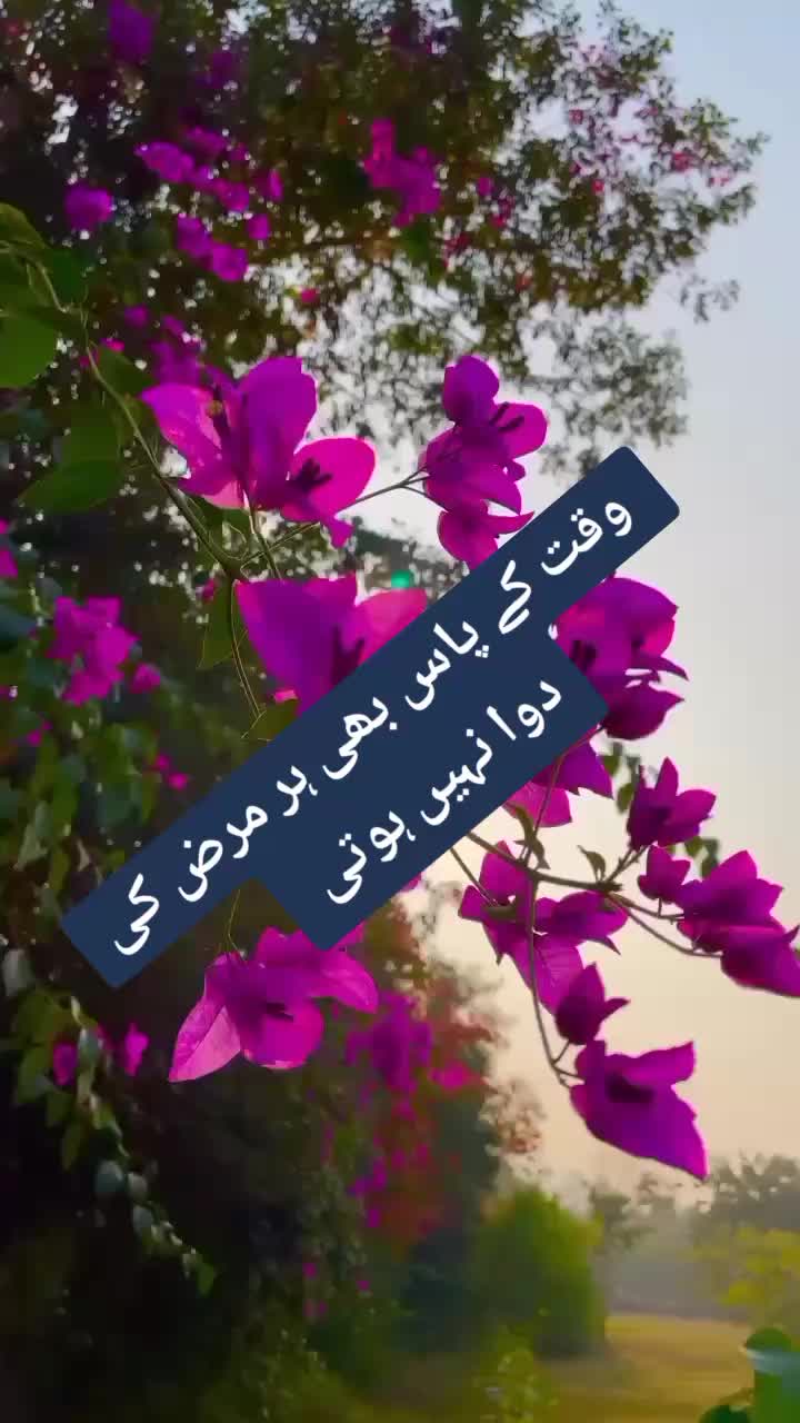 @ishq ibadat