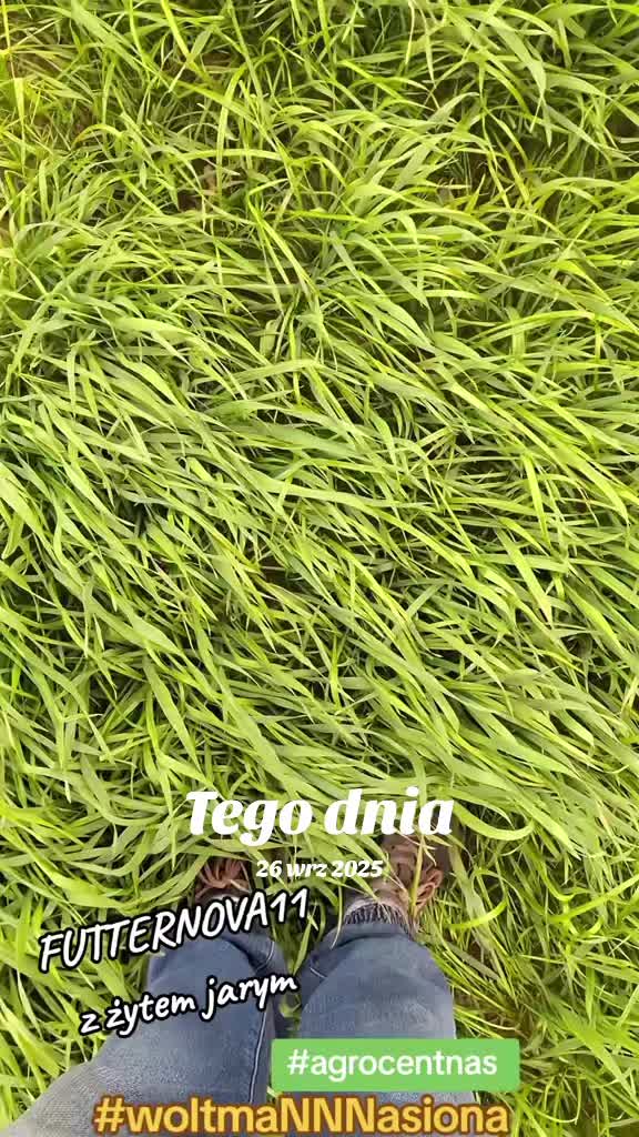@WOLTMANNNASIONA