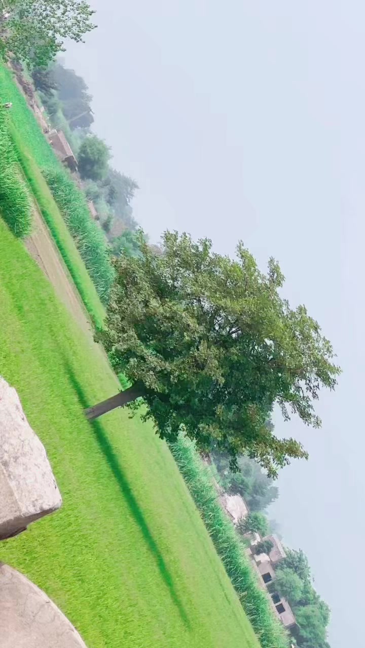 @Mjunaid