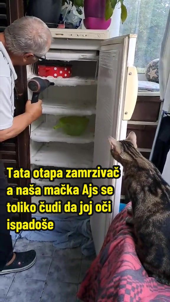 @Maja Kovijanic