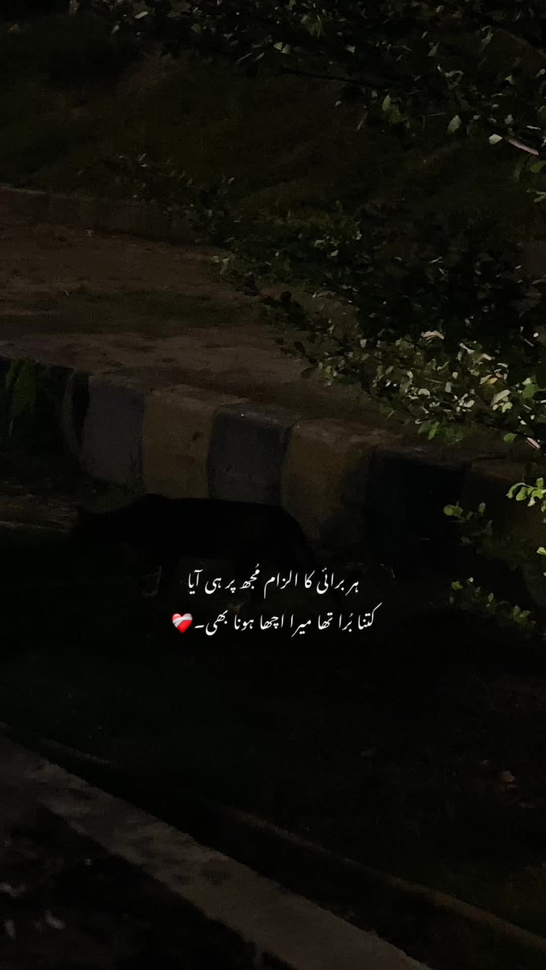 @ع🩹❤️‍🩹