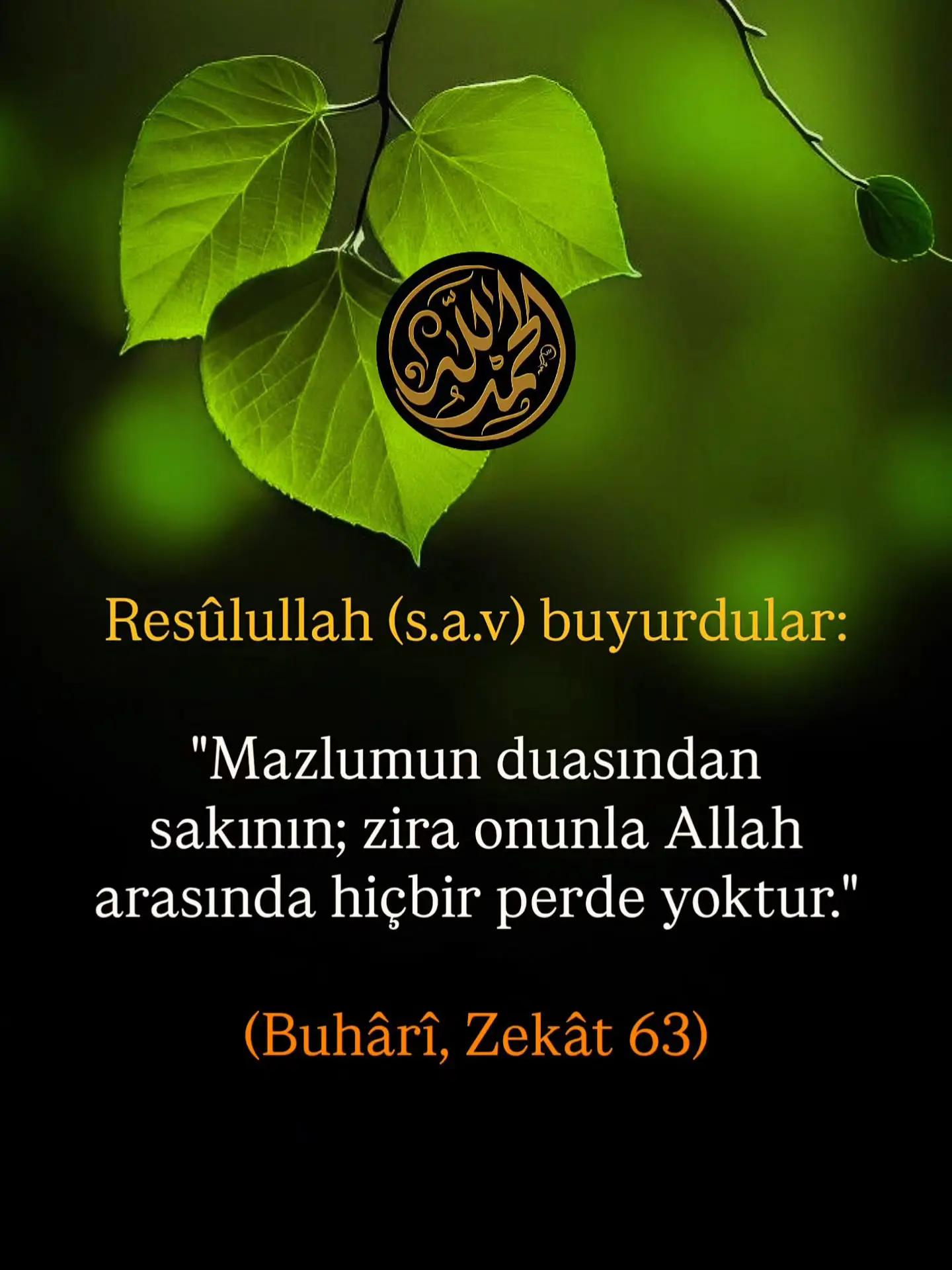 @Erdal 1975İst